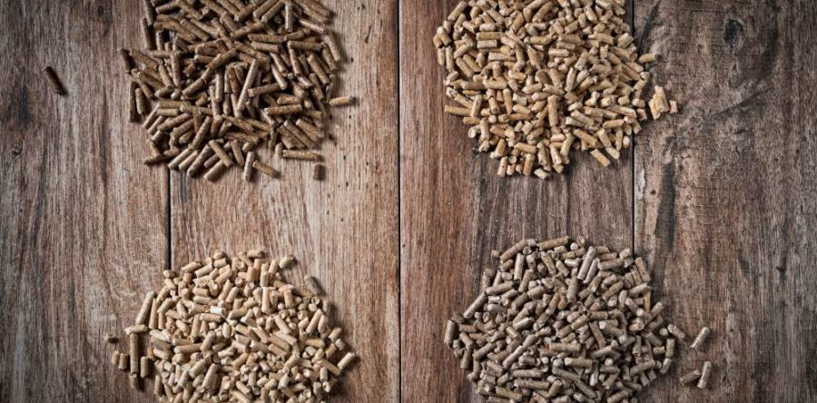 6 faits sur les granules