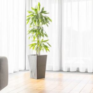 Foyer: un atout et des crédits à connaitre avant votre prochain achat