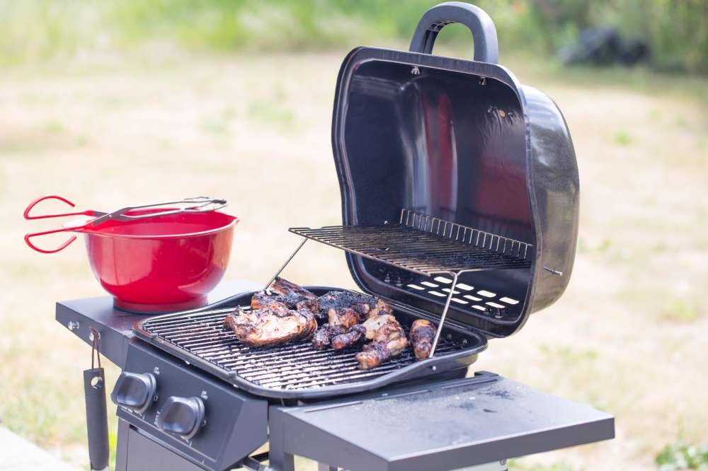 Weber - Barbecue au gaz propane portatif - Q 1200 - Rouge – BBQ