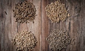 6 faits sur les granules