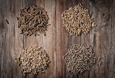 6 faits sur les granules