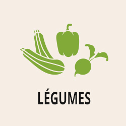 Section Légumes