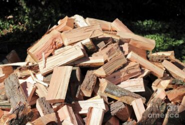 Quel est le meilleur type de bois à brûler ?