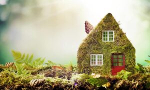 Quel type de foyer est le plus écologique?